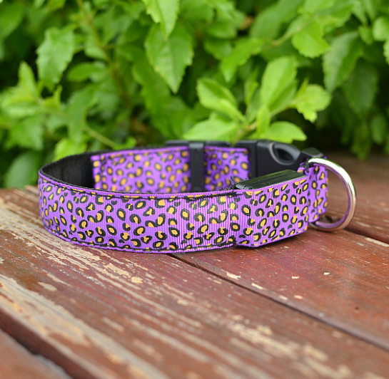 LEDWild Nylon Pet Collar