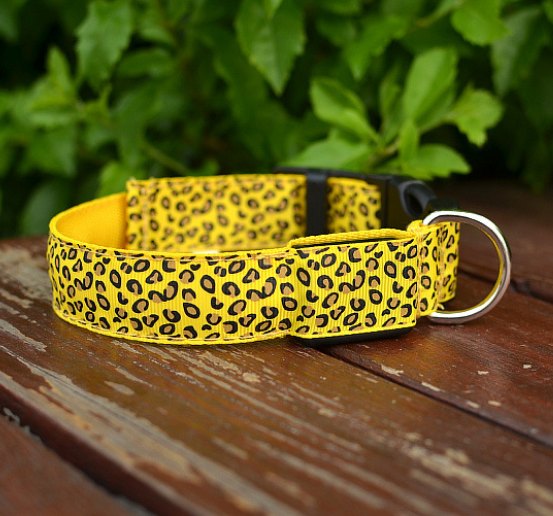 LEDWild Nylon Pet Collar