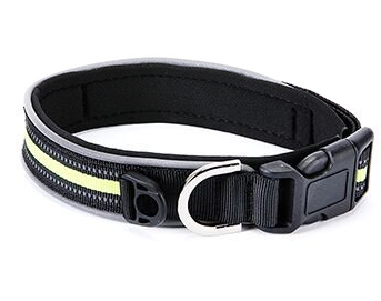 ComfortGlow Luminous Collar