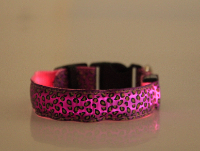 LEDWild Nylon Pet Collar