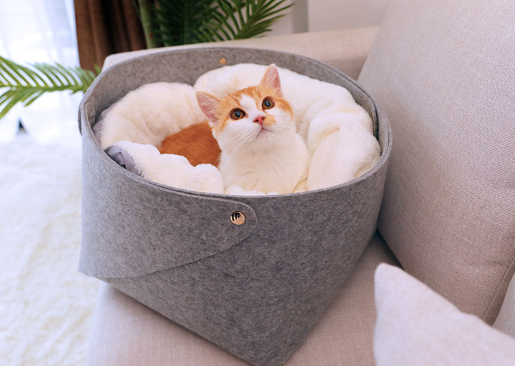 CatCabana Pet Bed House