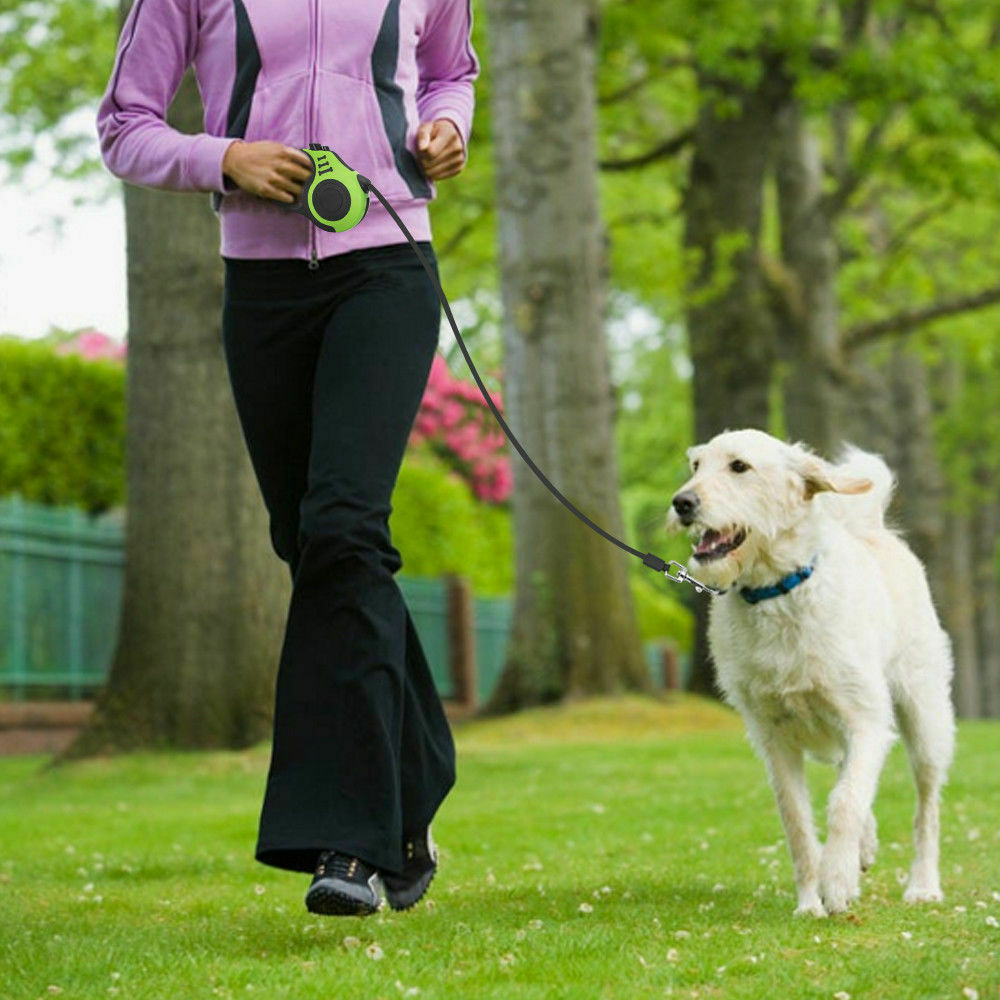 PurrWalk AutoLeash Collar