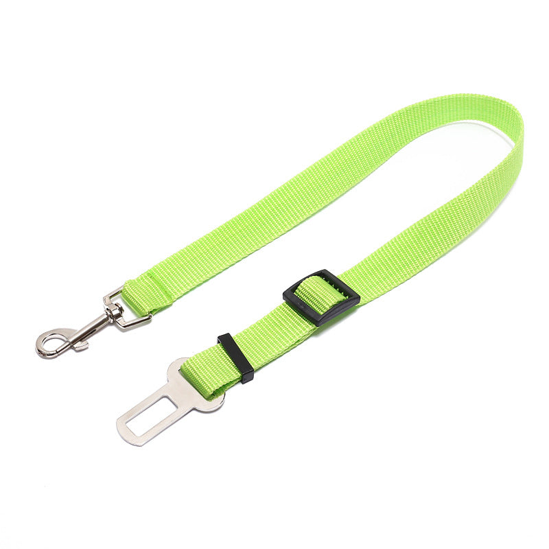 PurrHold Fixed Leash