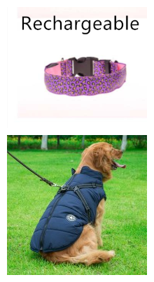 LEDWild Nylon Pet Collar