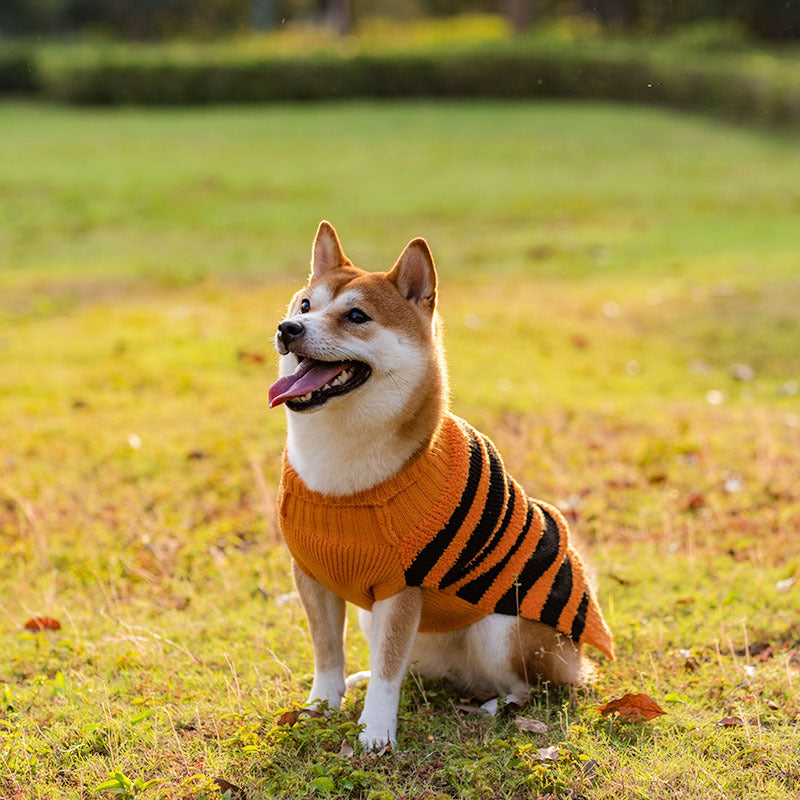 Howl-o-Ween Dog Outfit