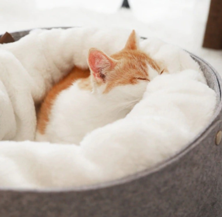 CatCabana Pet Bed House