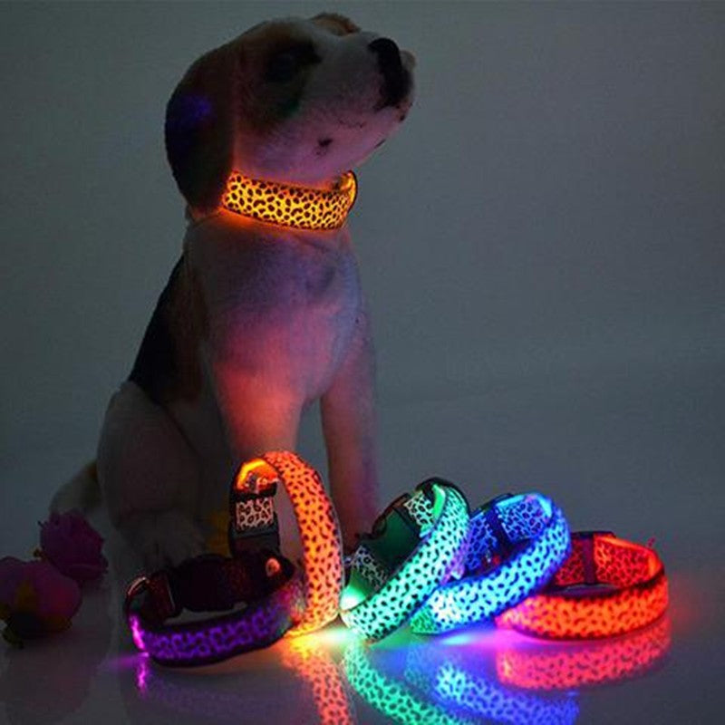 LEDWild Nylon Pet Collar