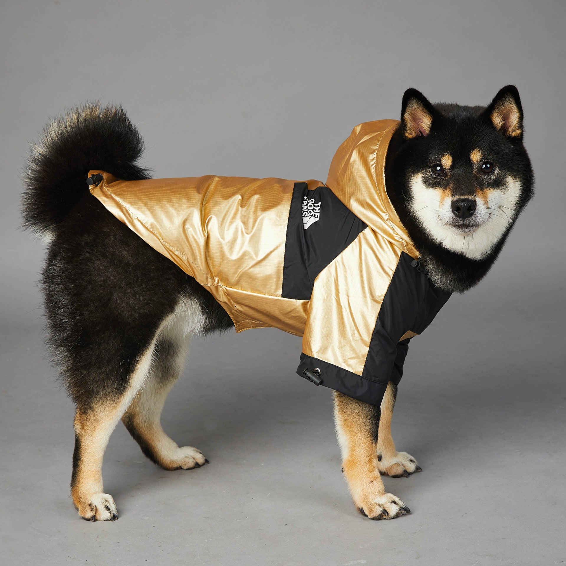 StormShield Dog Raincoat