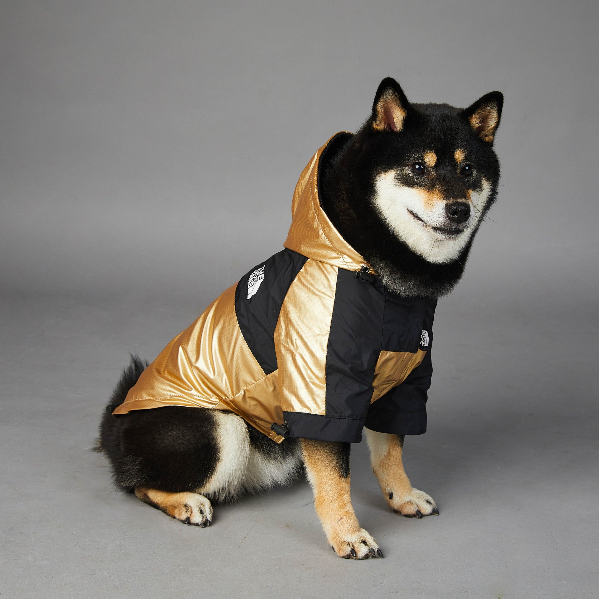 StormShield Dog Raincoat