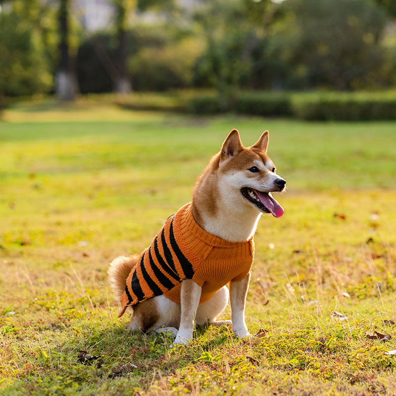 Howl-o-Ween Dog Outfit