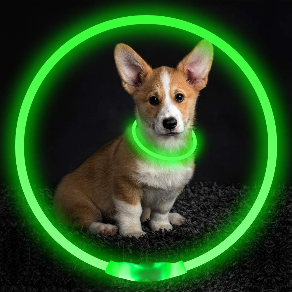 NeonGlow Electric Pet Collar