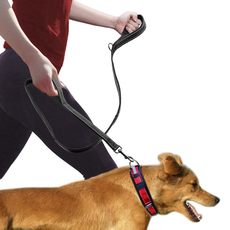 TwinHold Pet Walking Leash