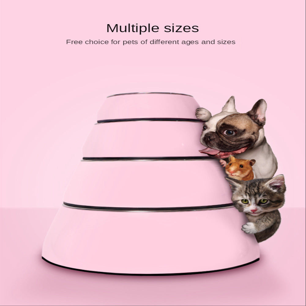 BigBite Pet Food Bowl