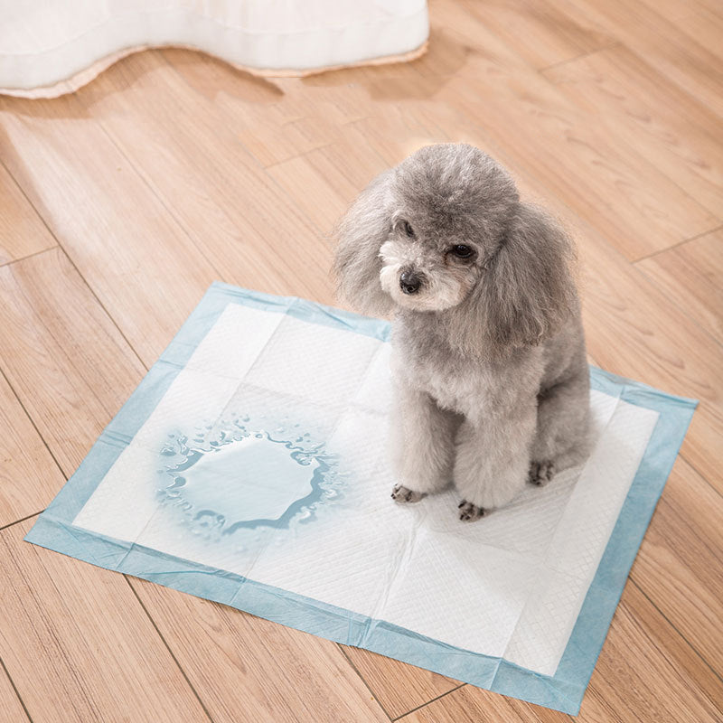 BigPaw Toilet Training Mats