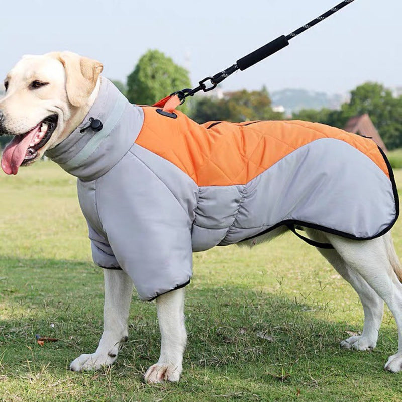 Pet Apparel