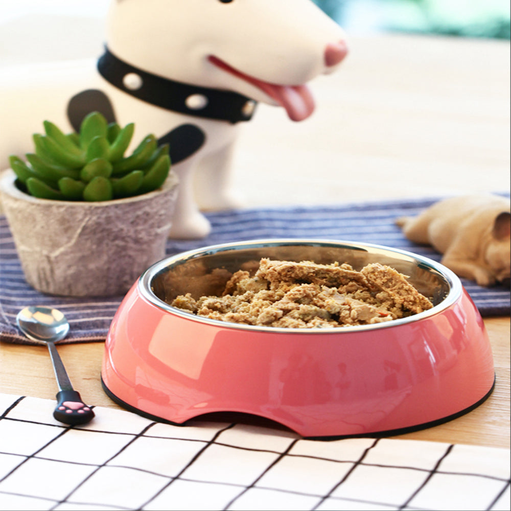 BigBite Pet Food Bowl