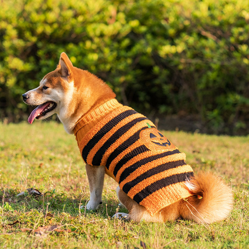 Howl-o-Ween Dog Outfit