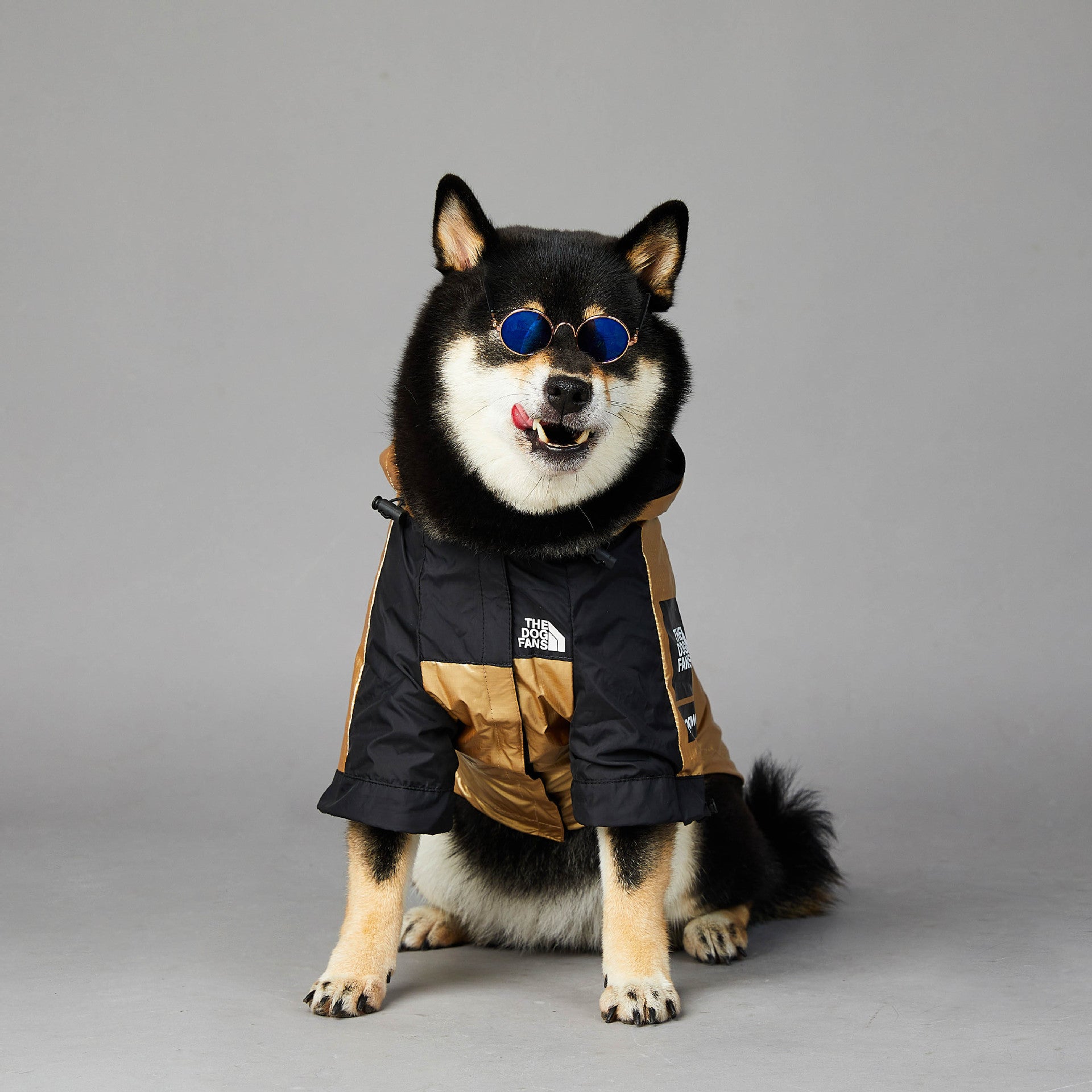 StormShield Dog Raincoat