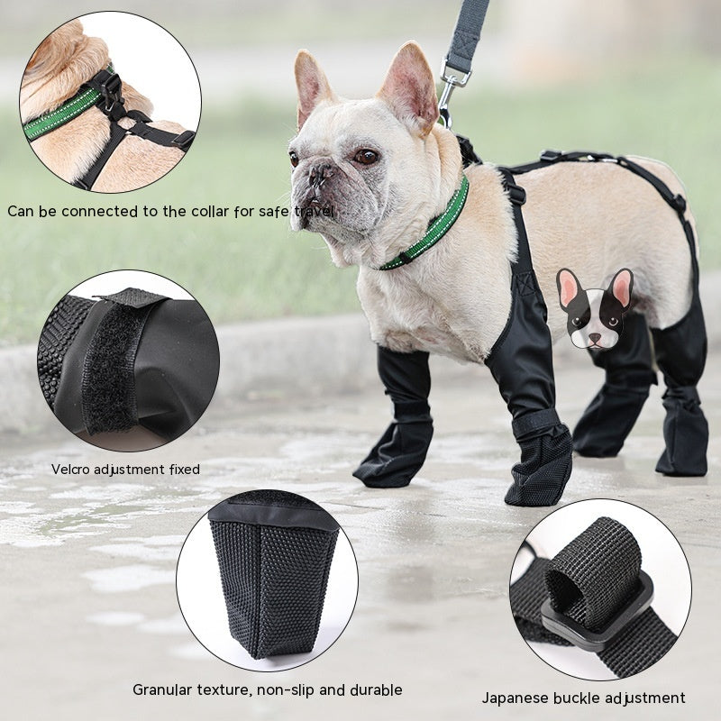 SoftPaw French Dog Shoes