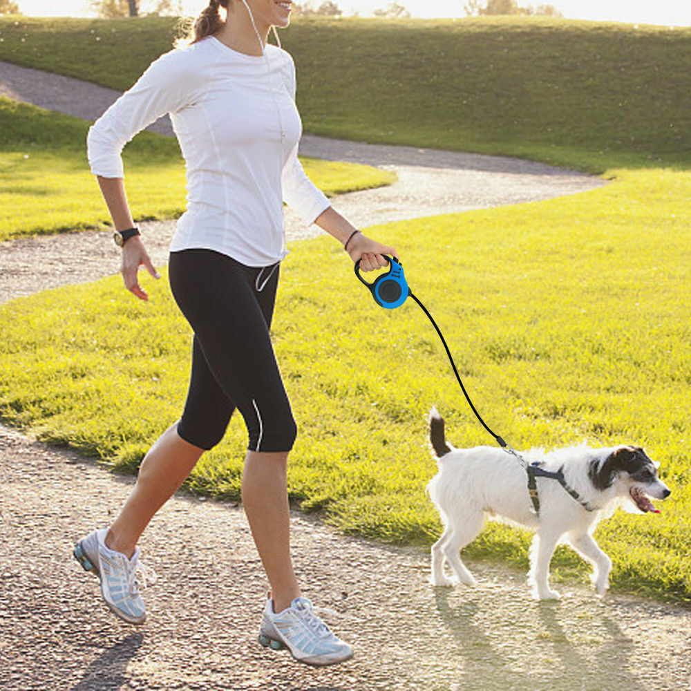 PurrWalk AutoLeash Collar