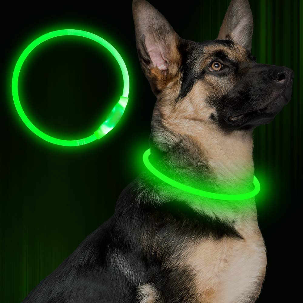 NeonGlow Electric Pet Collar